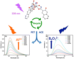 Graphical abstract: Efficient detection of Al3+ and B4O72− over trigonal prism In(iii) complex