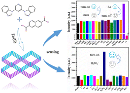 Graphical abstract: 2D → 3D polycatenated Zn(ii) metal–organic framework with good chemical stability as a fluorescent sensor toward salicylaldehyde, acetylacetone and H2PO4−