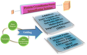 Graphical abstract: Practical techniques for protein crystallization: additive assistance and external field intensification