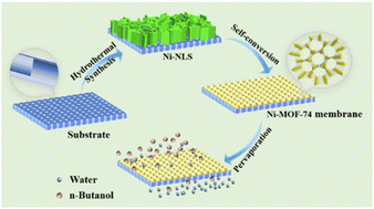 Graphical abstract: Self-converted fabrication of a Ni-MOF-74 tubular membrane from nickel-based nanosheets for butanol dehydration by pervaporation