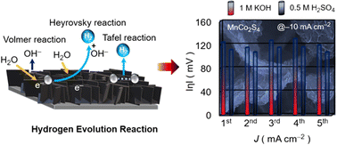 Graphical abstract: Anion-exchange synthesis of an MnCo2S4 electrocatalyst towards facilitated ultralong hydrogen evolution reaction in acidic and alkaline media