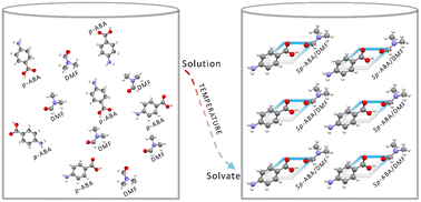 Graphical abstract: Crystallization of para-aminobenzoic acid forms from specific solvents