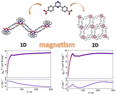 Graphical abstract: Synthesis, structure, and investigation of unique magnetic properties in two novel Mn-based coordination polymers