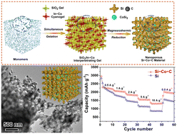 Graphical abstract: Interpenetrating gel-enabled uniform integration of metal and carbon dual matrices with nanoporous silicon for high-performance lithium storage