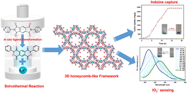Graphical abstract: Highly efficient iodine uptake and iodate selective probe in a 3D honeycomb-like copper–organic framework based on in situ ligand transformation