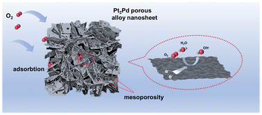 Graphical abstract: Flexible Pt2Pd alloy nanosheet electrocatalysts for efficient oxygen reduction reaction and zinc–air batteries