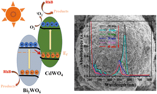 Graphical abstract: Preparation and photocatalytic properties of a CdWO4/Bi2WO6 binary heterojunction
