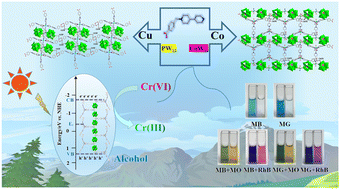 Graphical abstract: Structure-induced selective adsorption of diverse dyes and Cr(vi) photoreduction using two new polyoxometalate-based metal–viologen complexes