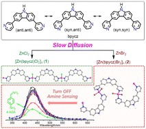 Graphical abstract: Wavelike zinc coordination polymers: anion-modulated ligand conformation and fluorescence detection of 4-aminobenzylamine