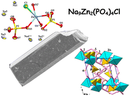Graphical abstract: Crystal chemistry and predicted ionic conductivity of hydrothermally synthesized Na9Zn2(PO4)4Cl