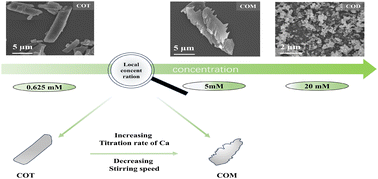 Graphical abstract: Local concentration controls the hydrate phase of calcium oxalate