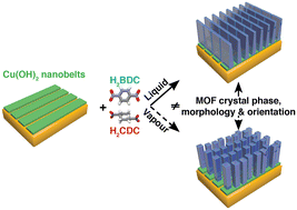 Graphical abstract: Polymorphism and orientation control of copper-dicarboxylate metal–organic framework thin films through vapour- and liquid-phase growth