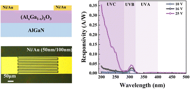 Graphical abstract: High-performance (Al0.4Ga0.6)2O3/Al0.32Ga0.68N-based UVC/UVB tunable dual-band photodetectors