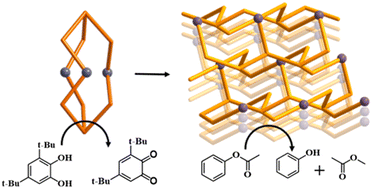 Graphical abstract: Construction and catalytic effects of solvent- and metal(ii)-dependent products: the process of transformation of 0D structures into 3D structures