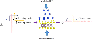 Graphical abstract: Interfacial contact barrier and charge carrier transport of MoS2/metal(001) heterostructures