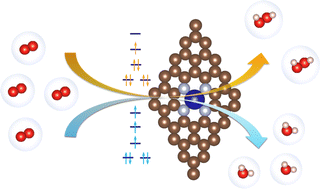 Graphical abstract: Correlation of the spin state and catalytic property of M–N4 single-atom catalysts in oxygen reduction reactions