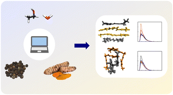 Graphical abstract: Aggregation patterns of curcumin and piperine mixtures in different polar media