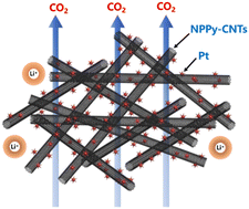 Graphical abstract: Magnetron sputtering of platinum on nitrogen-doped polypyrrole carbon nanotubes as an efficient and stable cathode for lithium–carbon dioxide batteries
