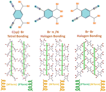 Graphical abstract: Engineering supramolecular helical assemblies via interplay between carbon(sp) tetrel and halogen bonding interactions