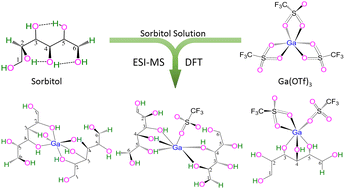 Graphical abstract: Coordination of sorbitol to Ga(OTf)3 in the liquid phase: an experimental and theoretical study