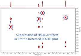 Graphical abstract: Origin and remedy for HSQC artifacts in proton-detected INADEQUATE spectra