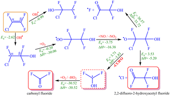Graphical abstract: Understanding the kinetics and atmospheric degradation mechanism of chlorotrifluoroethylene (CF2 [[double bond, length as m-dash]] CFCl) initiated by OH radicals