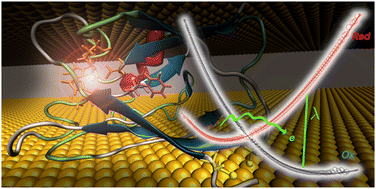 Graphical abstract: Applicability of perturbed matrix method for charge transfer studies at bio/metallic interfaces: a case of azurin