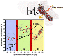 Graphical abstract: Study on the crystallization behavior and conformation adjustment scale of poly(lactic acid) in the terahertz frequency range