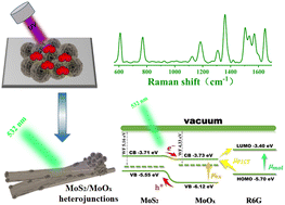 Graphical abstract: Ultraviolet-ozone concomitantly induced MoS2/MoOx heterostructures with improved SERS performance