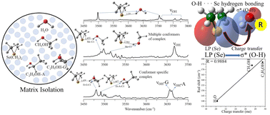 Graphical abstract: Hydrogen bond properties of Se in [ROH–Se(CH3)2] complexes (R = H, CH3, C2H5): matrix-isolation infrared spectroscopy and theoretical calculations