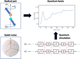 Graphical abstract: Hamiltonian simulation of quantum beats in radical pairs undergoing thermal relaxation on near-term quantum computers