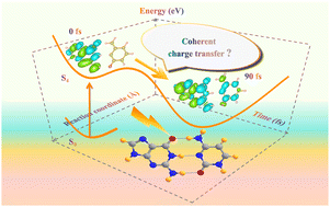 Graphical abstract: The dynamical temporal behaviors of guanine–cytosine coherent charge transfer