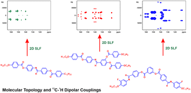Graphical abstract: Direct method to grasp molecular topology of mesogens through 13C–1H dipolar couplings
