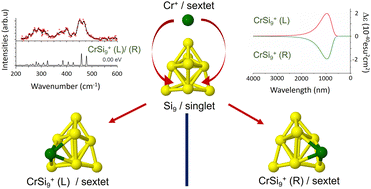 Graphical abstract: Small chromium-doped silicon clusters CrSin: structures, IR spectra, charge effect, magnetism and chirality