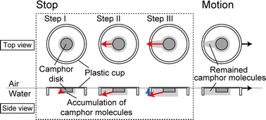 Graphical abstract: Height-dependent oscillatory motion of a plastic cup with a camphor disk floated on water