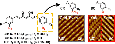 Graphical abstract: Tuning the odd–even effect on two-dimensional assemblies of curcumin derivatives by alkyl chain substitution: a scanning tunnelling microscopy study