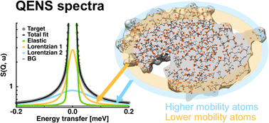 Graphical abstract: An improved analytical model of protein dynamics at the sub-nanosecond timescale