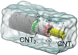 Graphical abstract: A controllable nanoscale telescopic arm designed by encoding the nested multi-walled carbon nanotubes