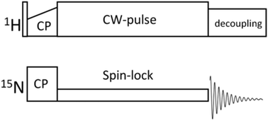 Graphical abstract: Rocking motion in solid proteins studied by the 15N proton-decoupled R1ρ relaxometry