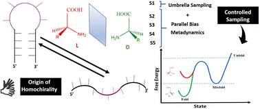 Graphical abstract: Molecular insights into the stereospecificity of arginine in RNA tetraloop folding