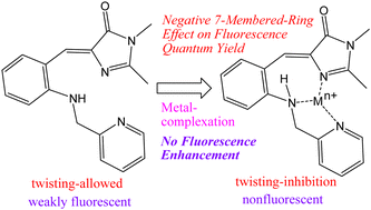 Graphical abstract: 7-membered-ring effect on fluorescence quantum yield: does metal-complexation-induced twisting-inhibition of an amino GFP chromophore derivative enhance fluorescence?