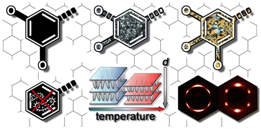 Graphical abstract: Does thermotropic liquid crystalline self-assembly control biological activity in amphiphilic amino acids? – tyrosine ILCs as a case study