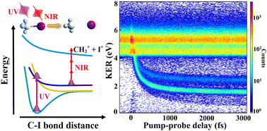 Graphical abstract: Single- and multi-photon-induced ultraviolet excitation and photodissociation of CH3I probed by coincident ion momentum imaging