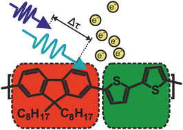 Graphical abstract: Ultrafast electron dynamics in excited states of conjugated thiophene–fluorene organic polymer (pF8T2) thin films