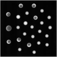 Graphical abstract: Fluorescence profiles of water droplets in stable levitating droplet clusters