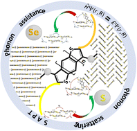 Graphical abstract: Theoretical study of the tuning role of β-methylthio or β-methylselenyl on the charge-transport properties of acenedithiophenes derivatives