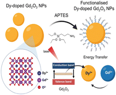 Graphical abstract: Structural and optical characterisation of silanised Dy-doped-Gd2O3 NPs