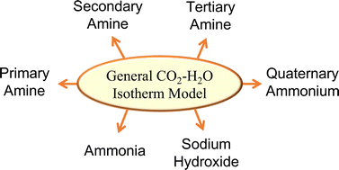 Graphical abstract: A general binary isotherm model for amines interacting with CO2 and H2O