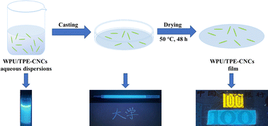 Graphical abstract: Fluorescent cellulose nanocrystals/waterborne polyurethane nanocomposites for anti-counterfeiting applications