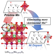 Graphical abstract: Dopant-induced electronic design of redox-active elements in LiMn2O4 spinel structures